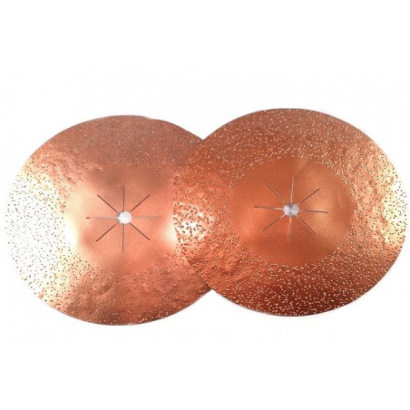 Tytan Disque Ø430 mm G10 – Décapage intensif