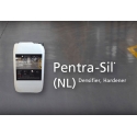 Voir la slide Curing Pentra-Sil (NL/HD+C)